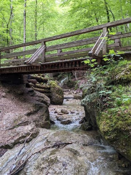 Salzburg_Aigner_Park_2