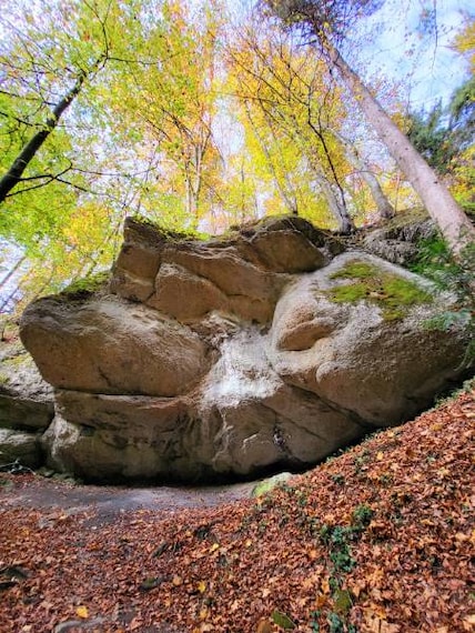 Salzburg_Aigner_Park_3