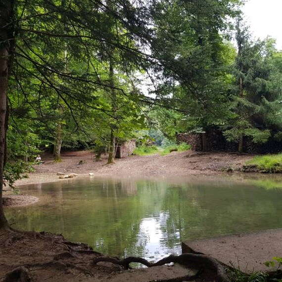 Salzburg_Aigner_Park_5