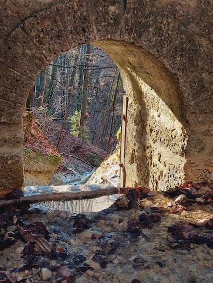 Salzburg_Aigner_Park_7