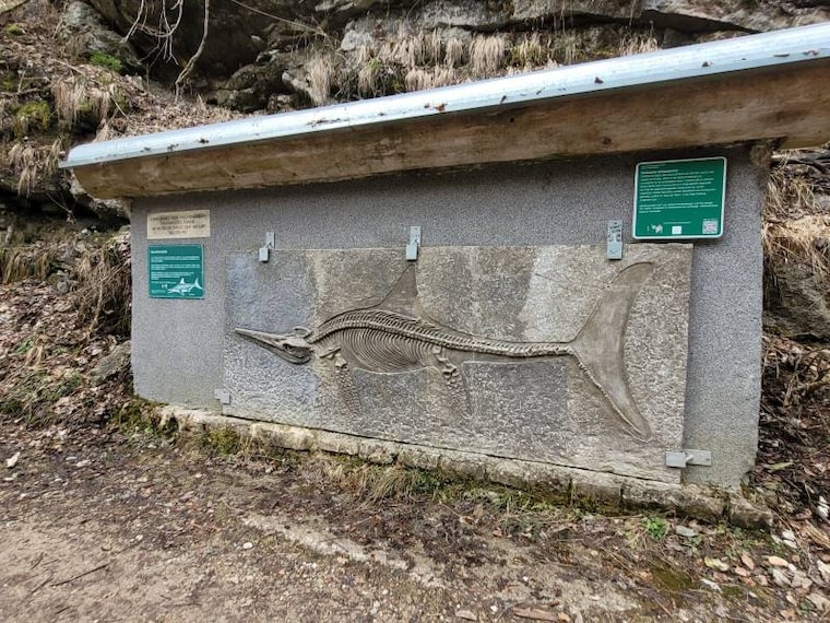 Salzburg_Glassenbachklamm_Park_10