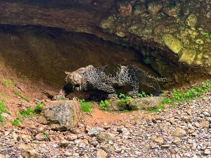 Glassenbachklamm Park