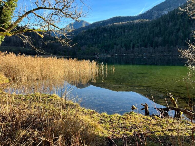 Salzburg_Lake_Thumsee_Trail_4