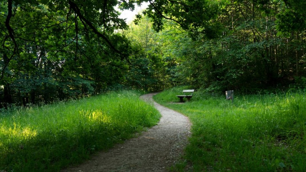 Salzburg_Mount_Monchsberg_6