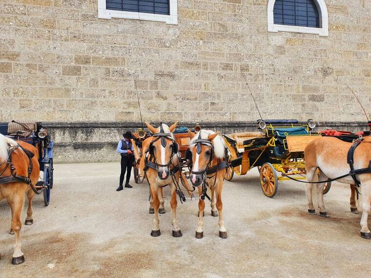 Salzburg_Residenzplatz_3