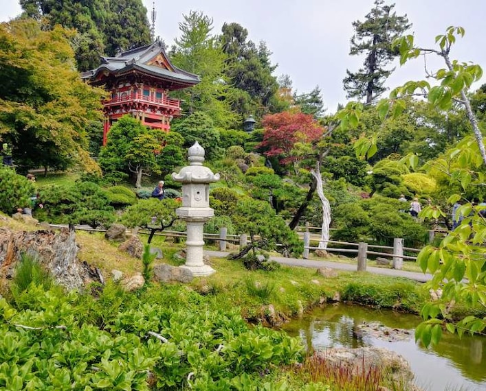 San_Francisco_Golden_Gate_Park_3