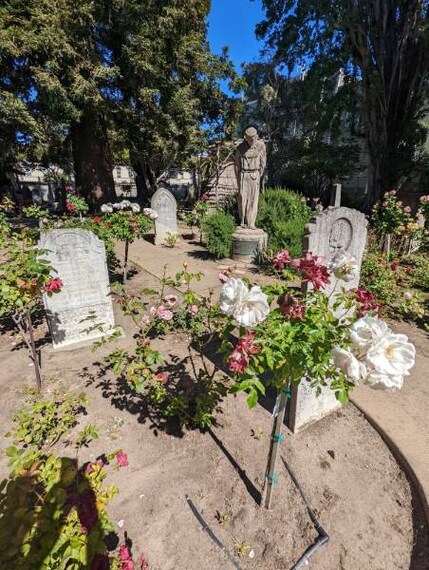 San_Francisco_Mission_Dolores_4