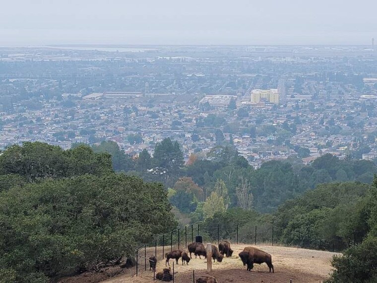San_Francisco_Oakland_Zoo_4