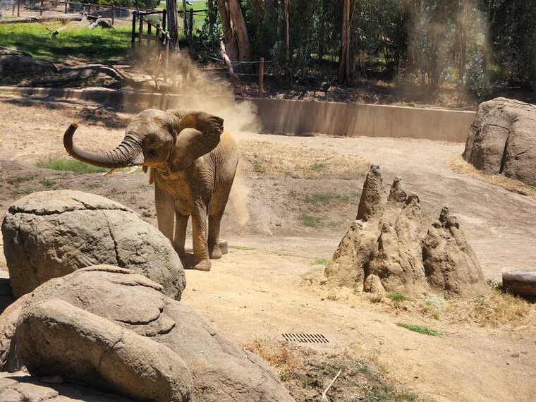 San_Francisco_Oakland_Zoo_7