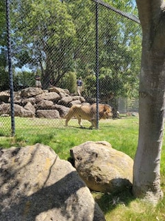 Six Flags Discovery Kingdom