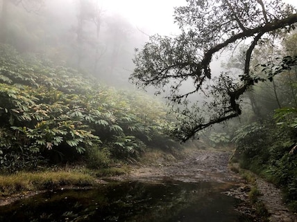 Walk to the Love Waterfall
