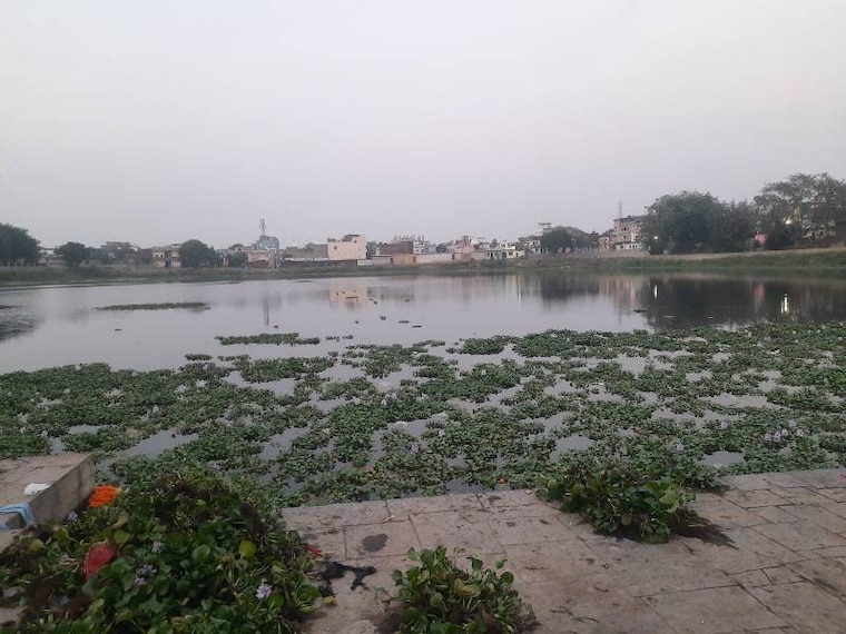 Satna_Jagatdev_Talab_1