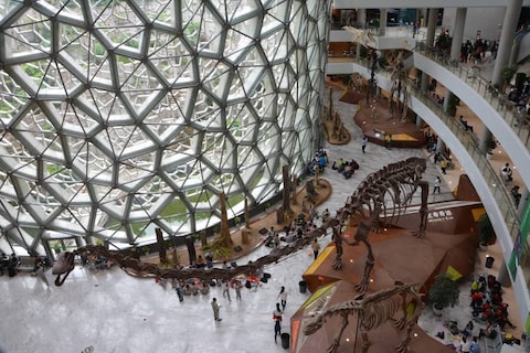 Shanghai Natural History Museum