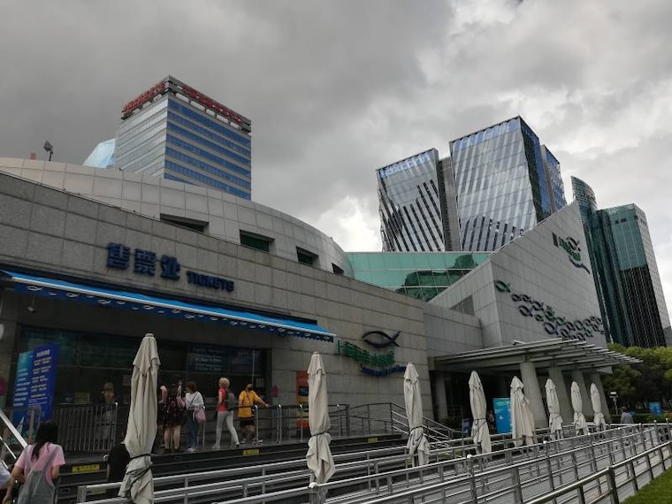 Shanghai_Shanghai_Ocean_Aquarium_3