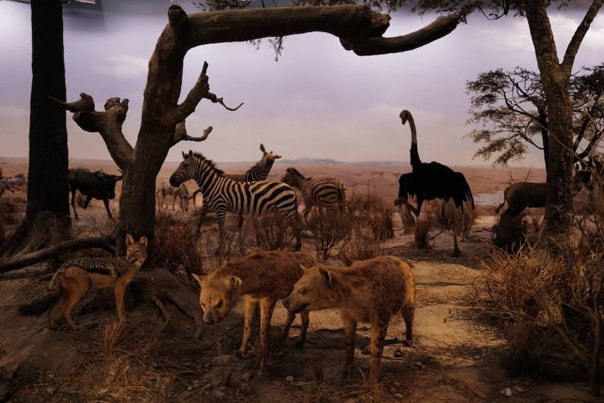 Shanghai_Shanghai_Science_&_Technology_Museum_5