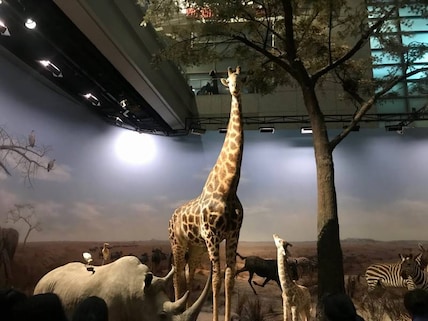 Shanghai Science & Technology Museum