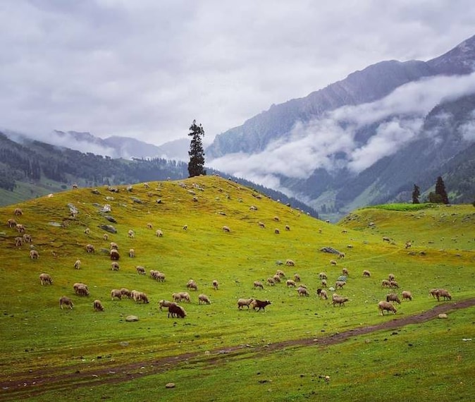 Sonmarg_Hotel_Glacier_Heights_5