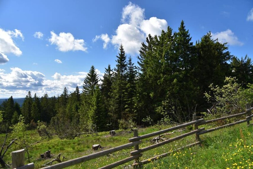 Stuttgart_Black_Forest_High_Road_8