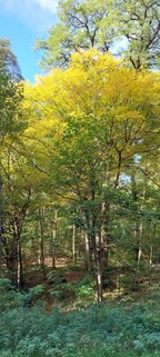 Hiking in the Swabian Alps