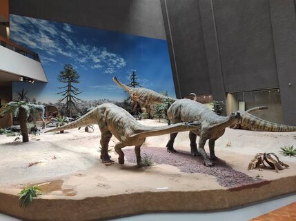 The State Museum of Natural History