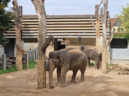 Wilhelma Zoo and Botanical Garden