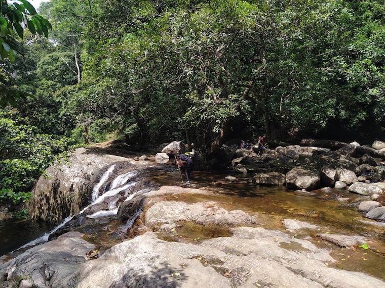 Thiruvananthapuram_Agasthyakoodam_10