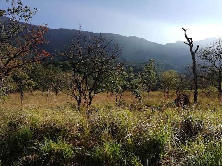 Thiruvananthapuram_Agasthyakoodam_1