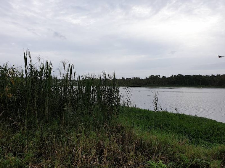 Thiruvananthapuram_Akklam_lake_10