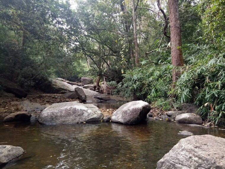 Thiruvananthapuram_Kallar_3