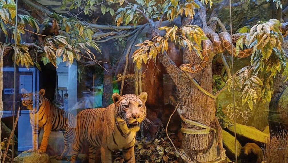 Thiruvananthapuram_Natural_History_Museum_Thiruvananthapuram_7