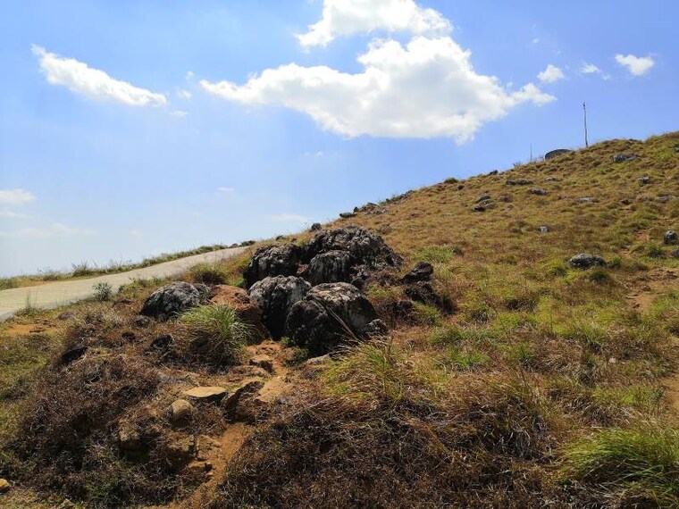 Thiruvananthapuram_Ponmudi_5