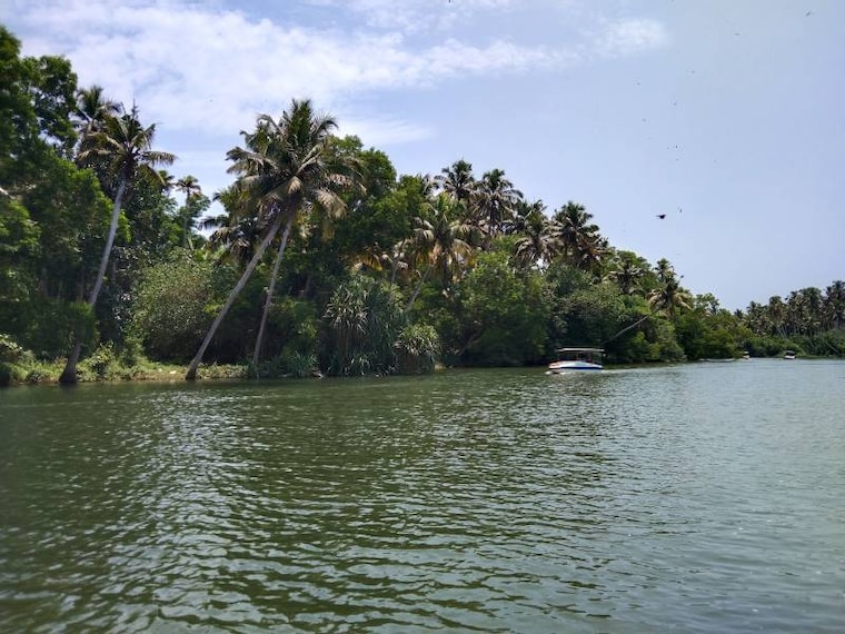 Thiruvananthapuram_Poovar_5