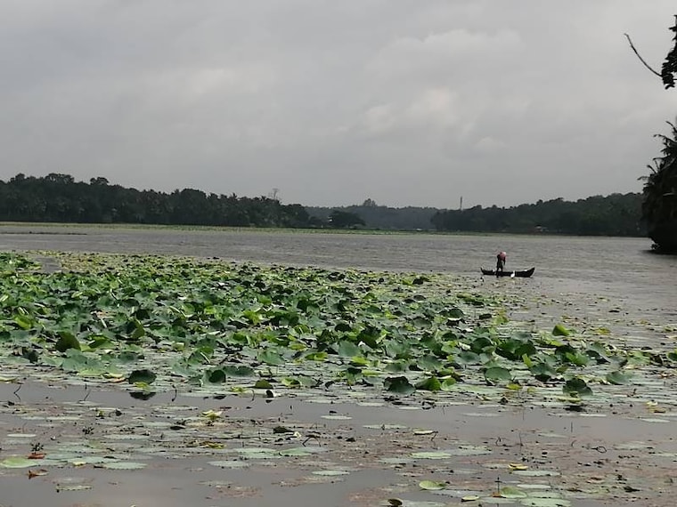 Thiruvananthapuram_Vellayani_Lake_1