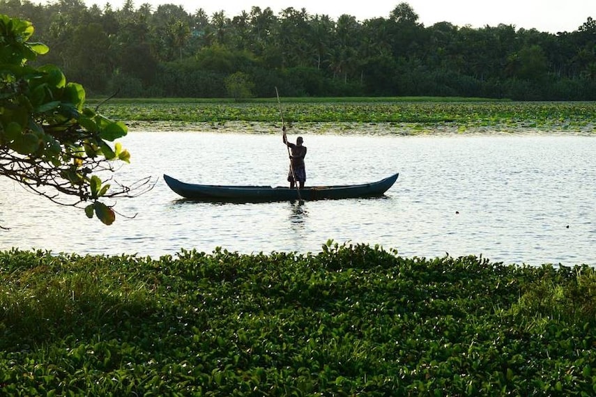Thiruvananthapuram_Vellayani_Lake_9