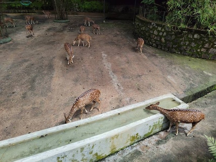 Zoological Park Trivandrum