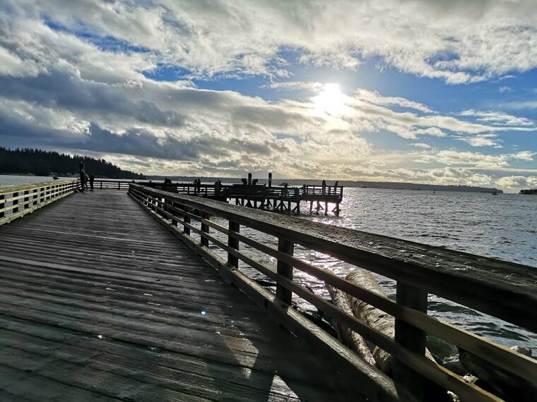 Vancouver_Ambleside_Beach_10