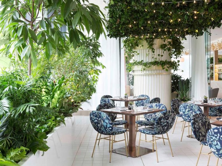 Vancouver_Botanist_6