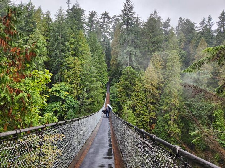 Vancouver_Capilano_Suspension_Bridge_1