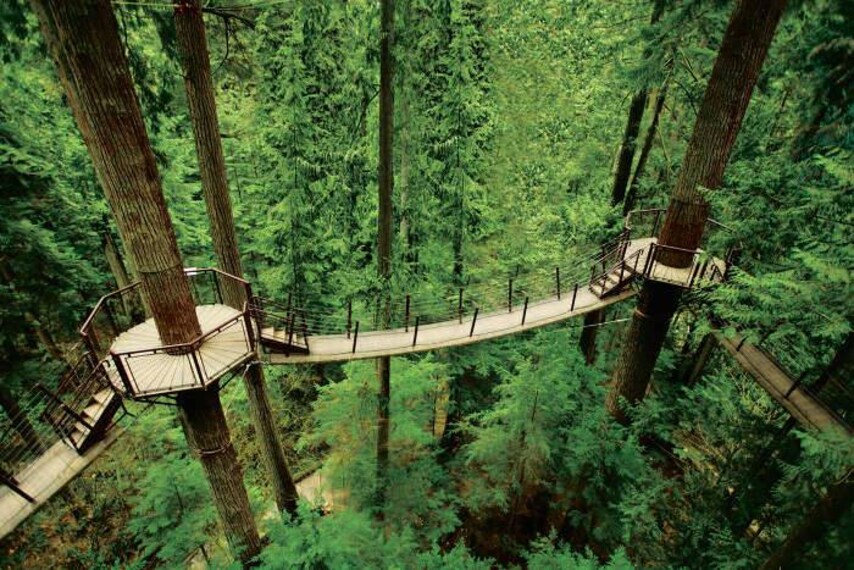 Vancouver_Capilano_Suspension_Bridge_6