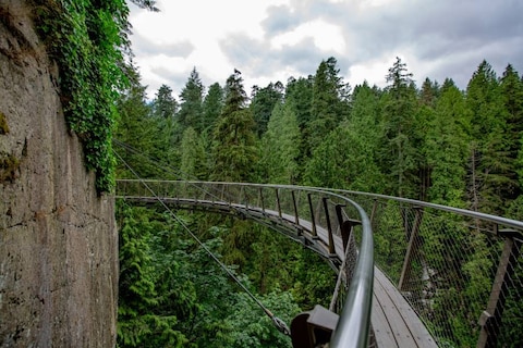 Capilano Suspension Bridge