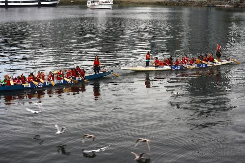 Vancouver_False_Creek_9