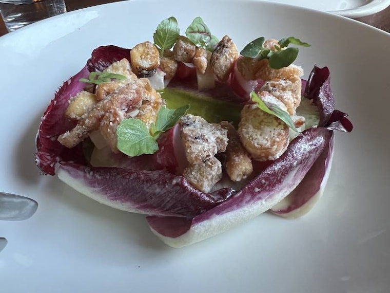 Vancouver_Kissa_Tanto_2