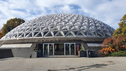 Queen Elizabeth Park