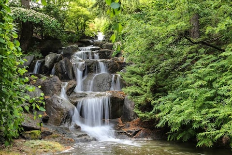 VanDusen Botanical Garden