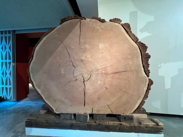 Vancouver_Vancouver_Museum_10