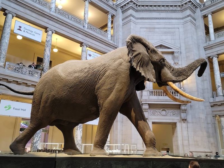 Washington_DC_Washington_National_Mall_8