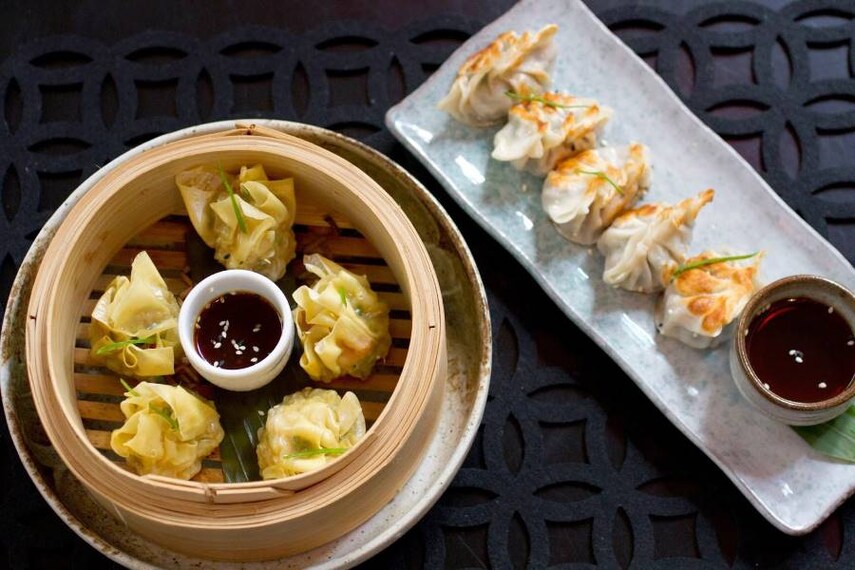 Wellington_Dragonfly_2