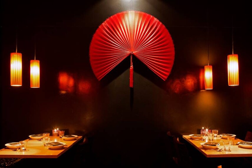 Wellington_Dragonfly_3