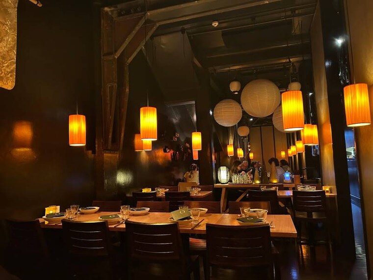 Wellington_Dragonfly_4