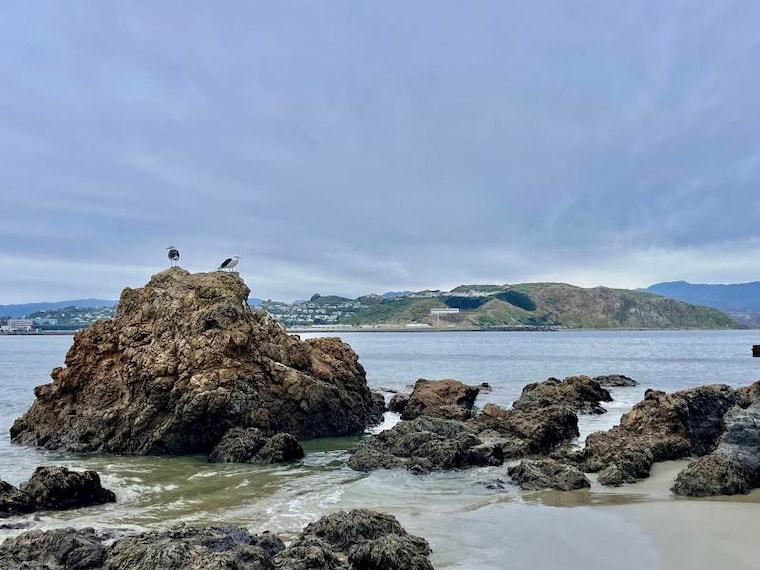 Wellington_Lyall_Bay_Beach_6
